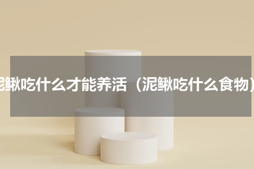 泥鳅吃什么才能养活（泥鳅吃什么食物）
