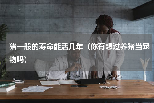 猪一般的寿命能活几年（你有想过养猪当宠物吗）