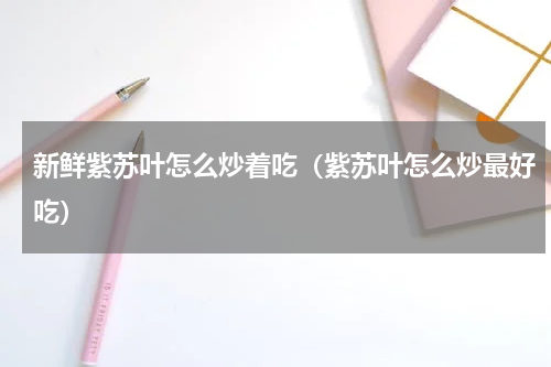 新鲜紫苏叶怎么炒着吃（紫苏叶怎么炒最好吃）