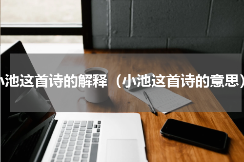 小池这首诗的解释（小池这首诗的意思）