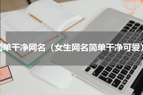 简单干净网名（女生网名简单干净可爱）