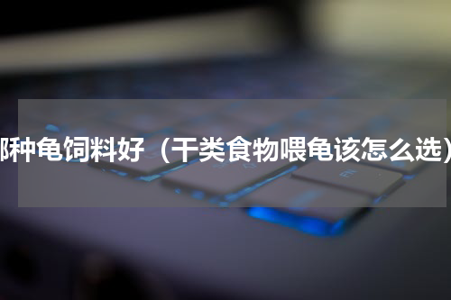 哪种龟饲料好（干类食物喂龟该怎么选）