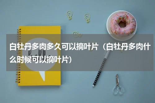 白牡丹多肉多久可以摘叶片（白牡丹多肉什么时候可以摘叶片）