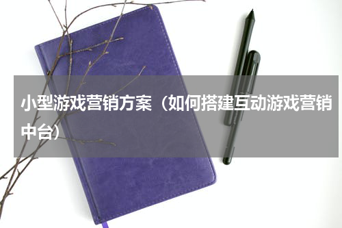 小型游戏营销方案（如何搭建互动游戏营销中台）