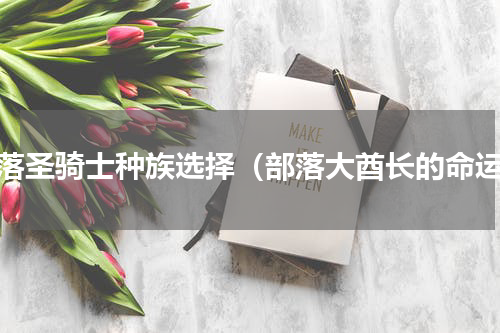 部落圣骑士种族选择（部落大酋长的命运）