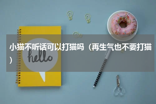 小猫不听话可以打猫吗（再生气也不要打猫）