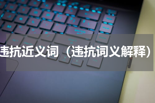违抗近义词（违抗词义解释）