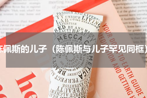 陈佩斯的儿子（陈佩斯与儿子罕见同框）