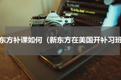 新东方补课如何（新东方在美国开补习班）