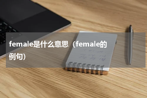 female是什么意思（female的例句）