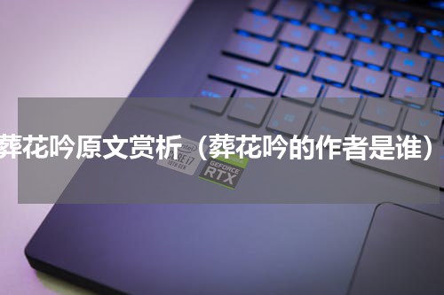 葬花吟原文赏析（葬花吟的作者是谁）