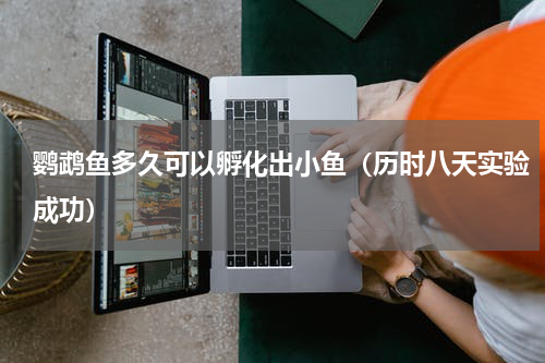 鹦鹉鱼多久可以孵化出小鱼（历时八天实验成功）