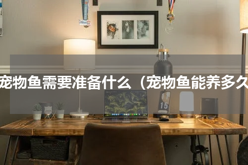 养宠物鱼需要准备什么（宠物鱼能养多久）