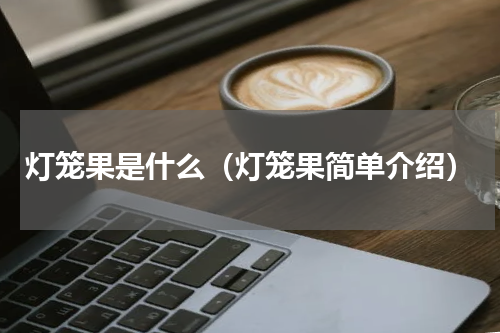灯笼果是什么（灯笼果简单介绍）
