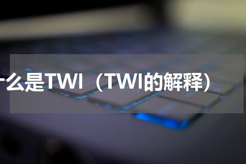 什么是TWI（TWI的解释）