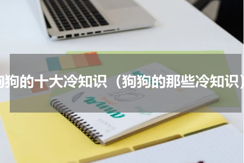 狗狗的十大冷知识（狗狗的那些冷知识）