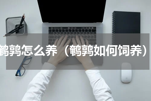 鹌鹑怎么养（鹌鹑如何饲养）