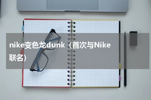 nike变色龙dunk（首次与Nike联名）