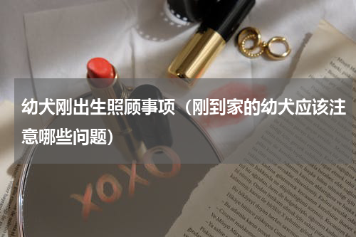 幼犬刚出生照顾事项（刚到家的幼犬应该注意哪些问题）