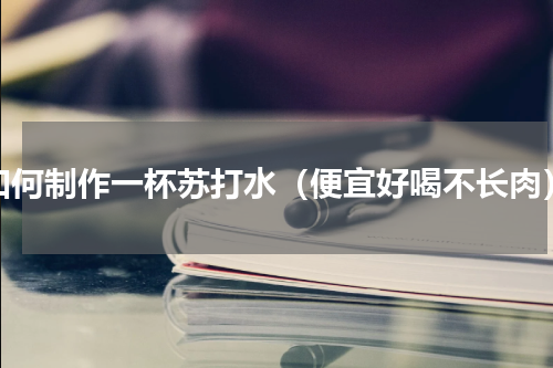 如何制作一杯苏打水（便宜好喝不长肉）