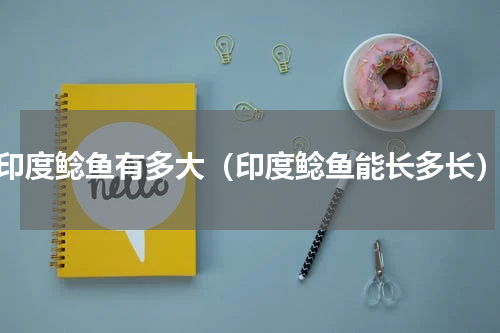 印度鲶鱼有多大（印度鲶鱼能长多长）