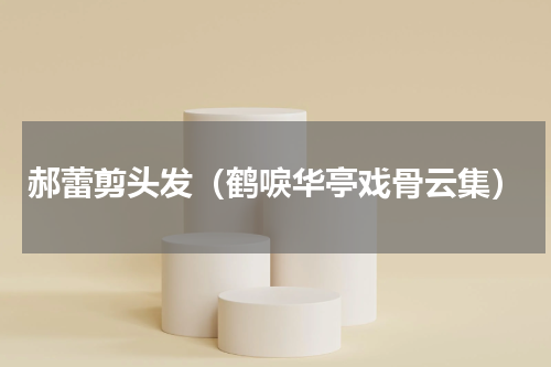 郝蕾剪头发（鹤唳华亭戏骨云集）
