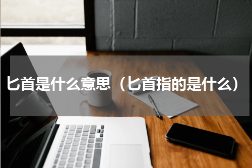 匕首是什么意思（匕首指的是什么）