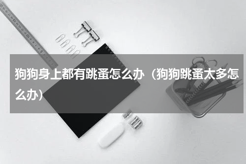 狗狗身上都有跳蚤怎么办（狗狗跳蚤太多怎么办）