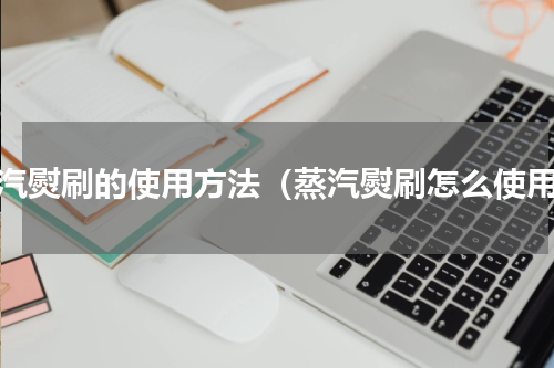 蒸汽熨刷的使用方法（蒸汽熨刷怎么使用）