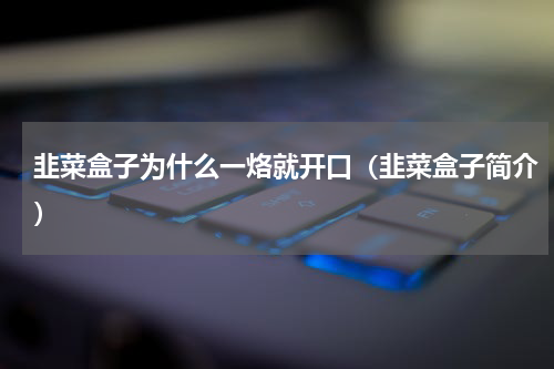 韭菜盒子为什么一烙就开口（韭菜盒子简介）