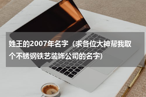 姓王的2007年名字（求各位大神帮我取个不锈钢铁艺装饰公司的名字）