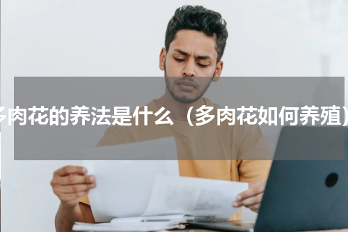 多肉花的养法是什么（多肉花如何养殖）