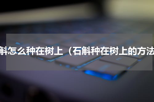 石斛怎么种在树上（石斛种在树上的方法）