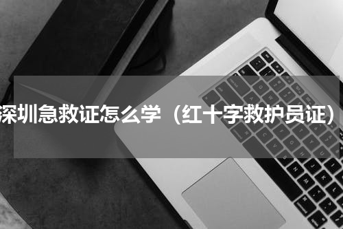 深圳急救证怎么学（红十字救护员证）