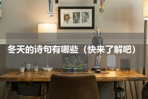 冬天的诗句有哪些（快来了解吧）