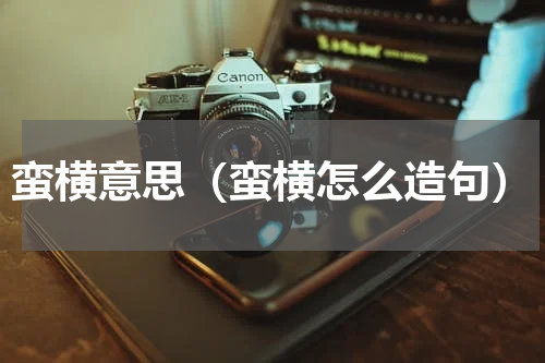 蛮横意思（蛮横怎么造句）