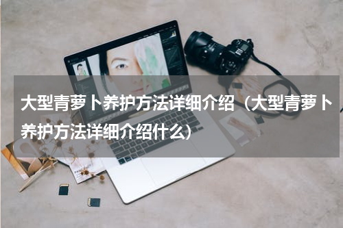 大型青萝卜养护方法详细介绍（大型青萝卜养护方法详细介绍什么）