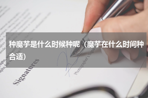 种魔芋是什么时候种呢（魔芋在什么时间种合适）