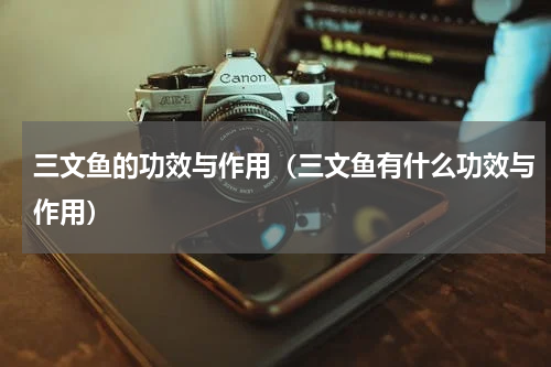 三文鱼的功效与作用（三文鱼有什么功效与作用）