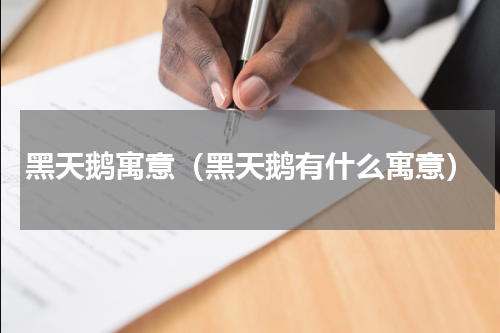 黑天鹅寓意（黑天鹅有什么寓意）