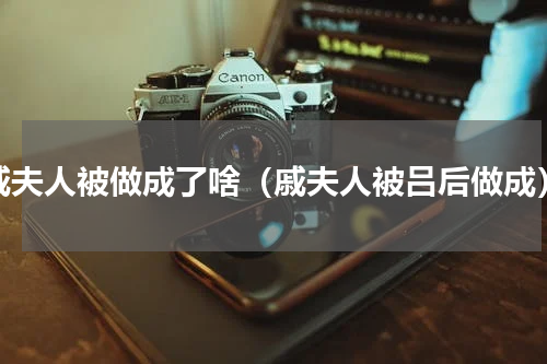 戚夫人被做成了啥（戚夫人被吕后做成）