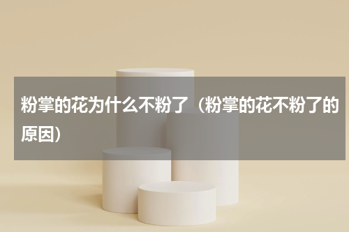 粉掌的花为什么不粉了（粉掌的花不粉了的原因）