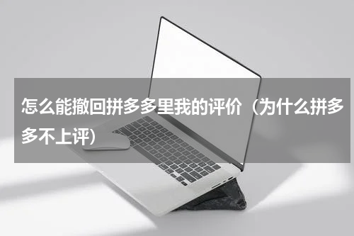 怎么能撤回拼多多里我的评价（为什么拼多多不上评）
