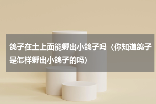 鸽子在土上面能孵出小鸽子吗（你知道鸽子是怎样孵出小鸽子的吗）