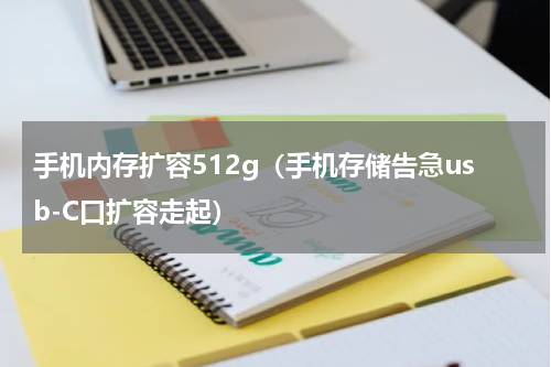 手机内存扩容512g（手机存储告急usb-C口扩容走起）