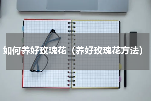 如何养好玫瑰花（养好玫瑰花方法）