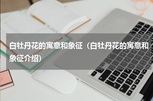 白牡丹花的寓意和象征（白牡丹花的寓意和象征介绍）