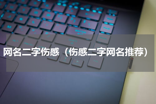 网名二字伤感（伤感二字网名推荐）