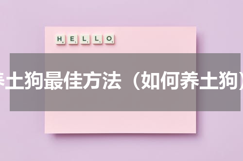 养土狗最佳方法（如何养土狗）