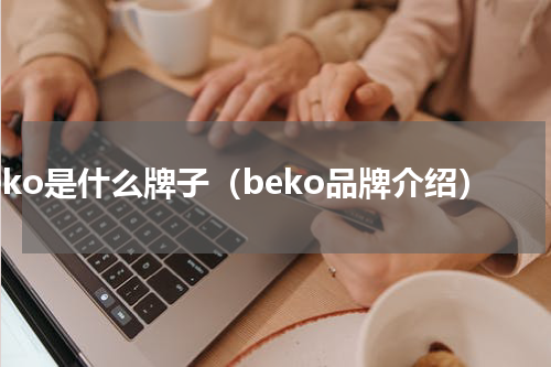beko是什么牌子（beko品牌介绍）